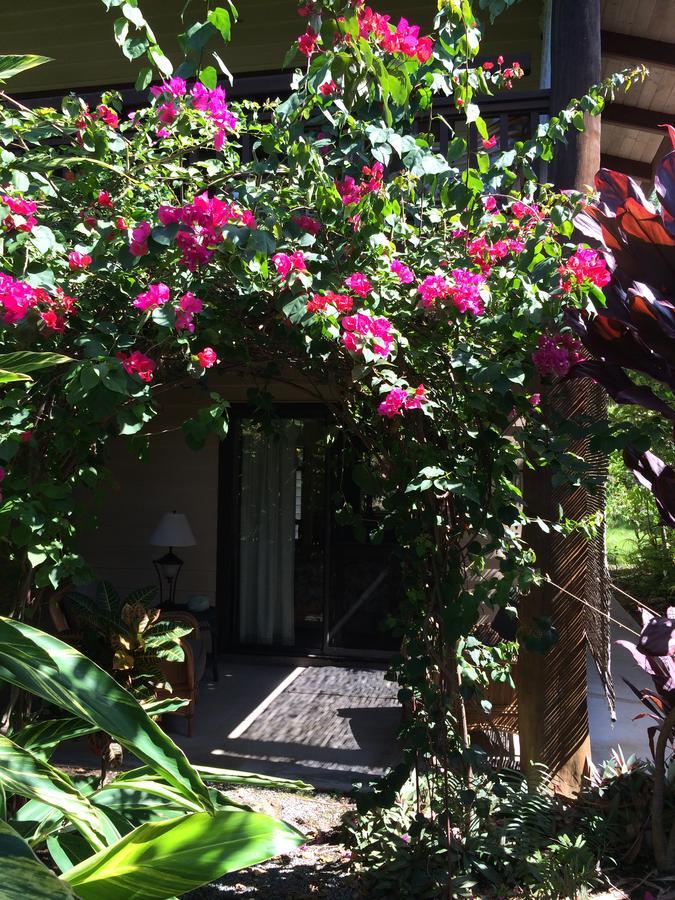 Hawaiian Oasis Bed & Breakfast Kailua-Kona Dış mekan fotoğraf